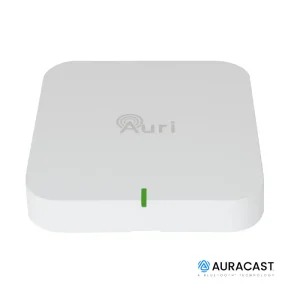 Auri 2 Channel Transmitter - Image 1